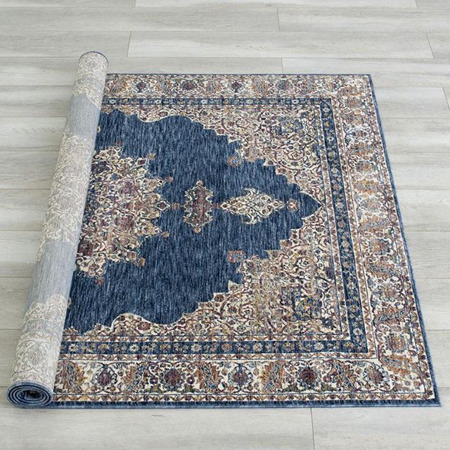 Payas Blue/Multi 5' X 7' Area Rug