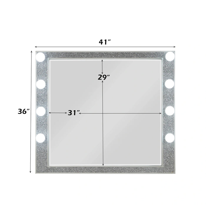 Mirror w/Light